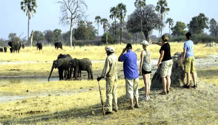 Hwange Walking Safari