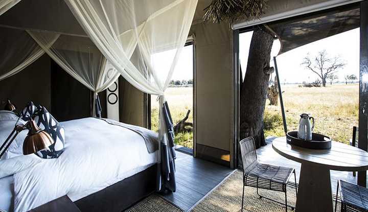 Hwange Walking Safari