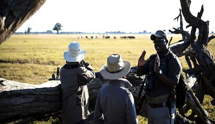 Hwange Walking Safari