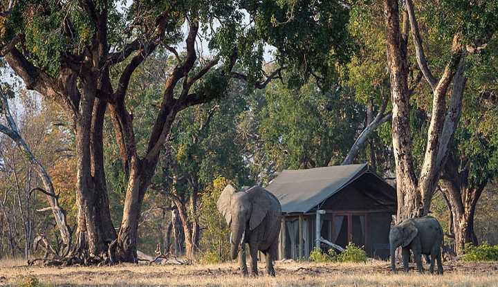 Hwange Walking Safari