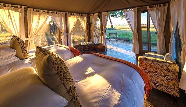Hwange Walking Safari