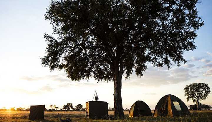 Hwange Walking Safari