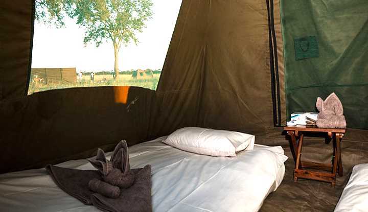 Hwange Walking Safari