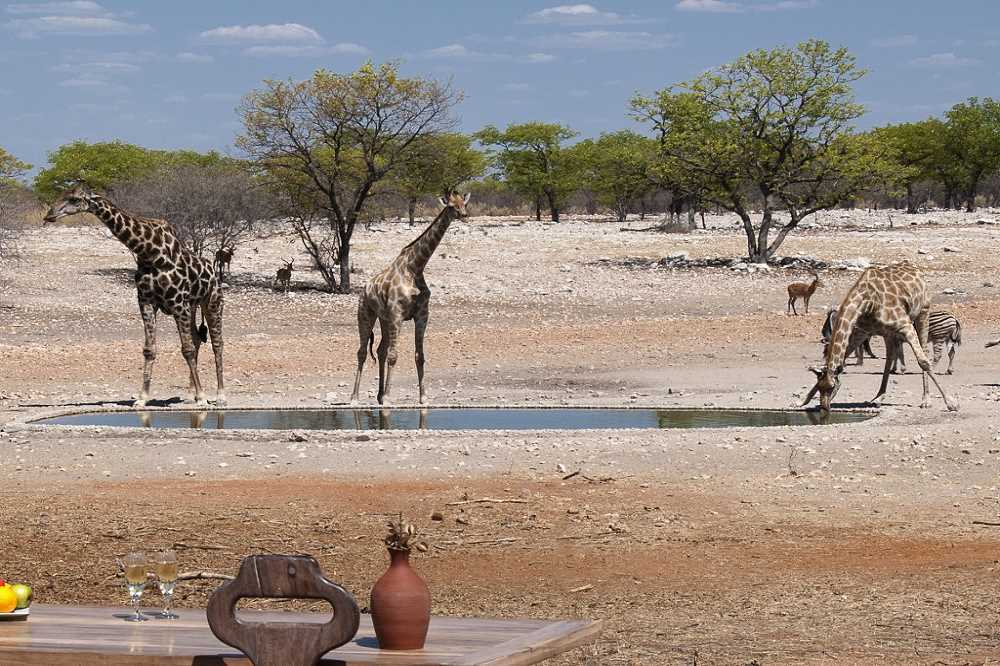 Anderssons Camp