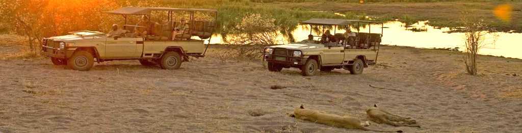 Linyanti - Ultimate African Safari