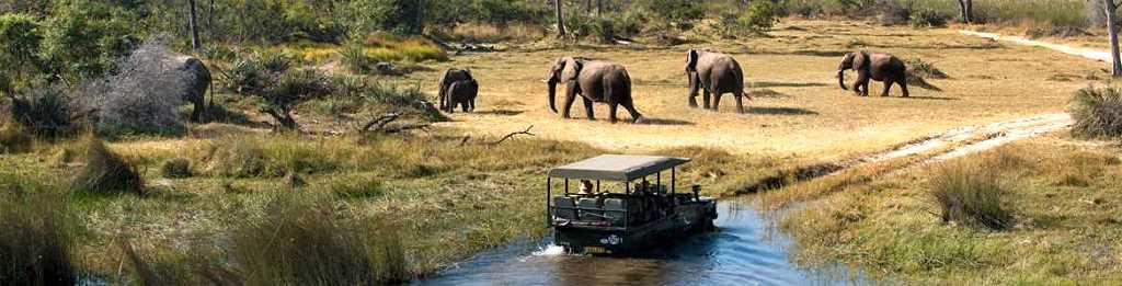 Okavango Delta - Ultimate African Safari