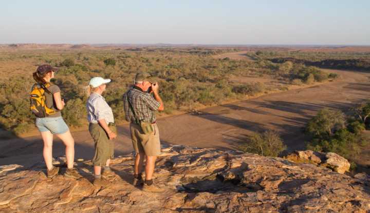 The Ultimate African Safari