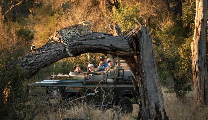 The Ultimate African Safari