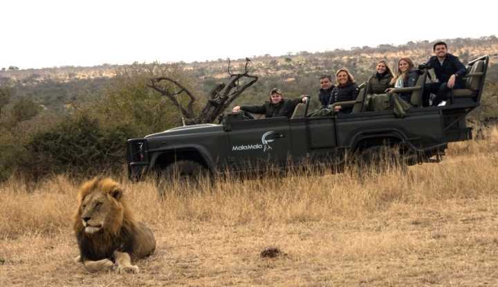 The Ultimate African Safari