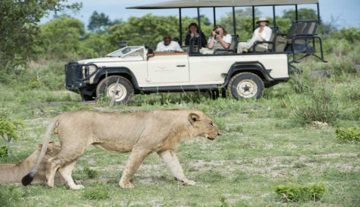 The Ultimate African Safari